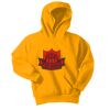 Youth Core Fleece Pullover Hooded Sweatshirt Thumbnail