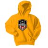 Youth Core Fleece Pullover Hooded Sweatshirt Thumbnail