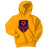 Youth Core Fleece Pullover Hooded Sweatshirt Thumbnail