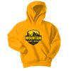 Youth Core Fleece Pullover Hooded Sweatshirt Thumbnail