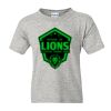 Youth DryBlend® T-Shirt Thumbnail